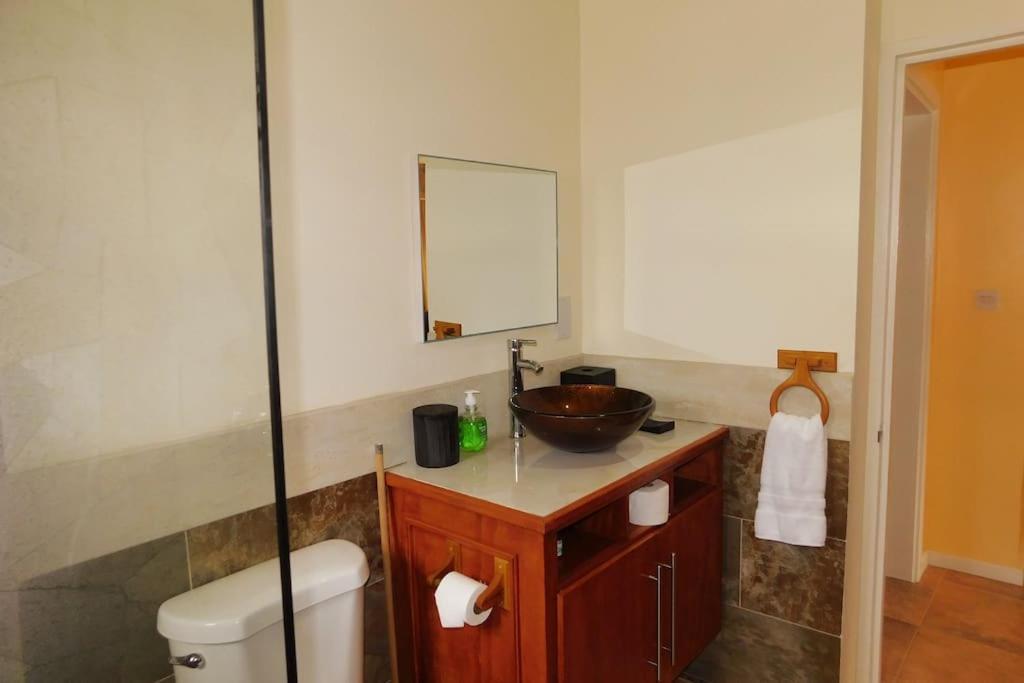 Tropical Home Oasis سوفريير المظهر الخارجي الصورة