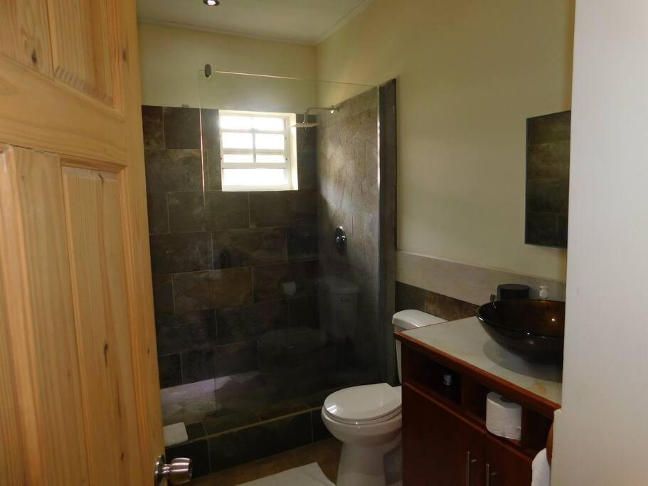 Tropical Home Oasis سوفريير المظهر الخارجي الصورة