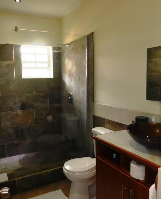Tropical Home Oasis سوفريير المظهر الخارجي الصورة