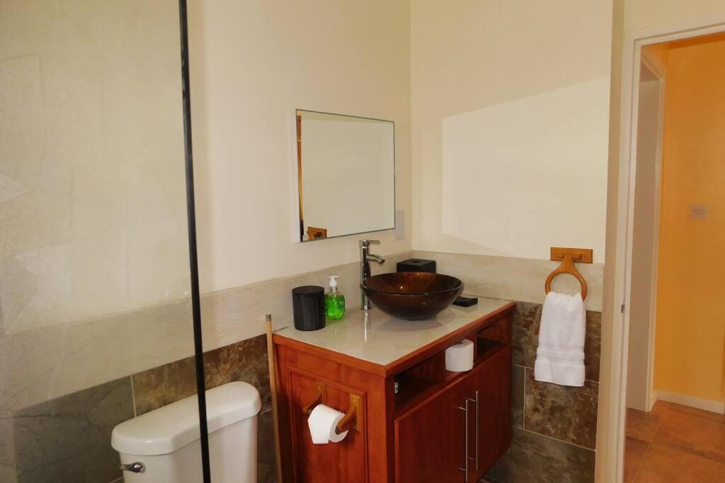 Tropical Home Oasis سوفريير المظهر الخارجي الصورة